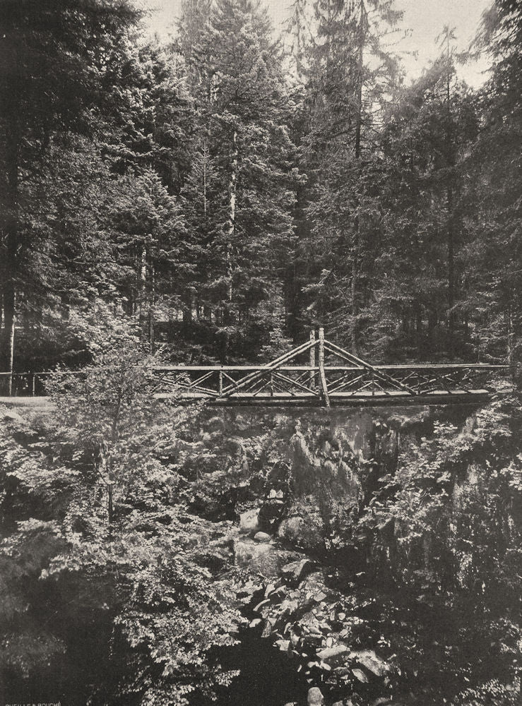 VOSGES. La Vologne au Saut des Cuves 1906 old antique vintage print picture